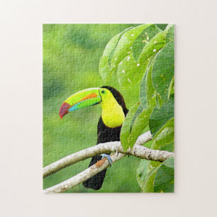 Tropisches Toucan-Puzzle Puzzle