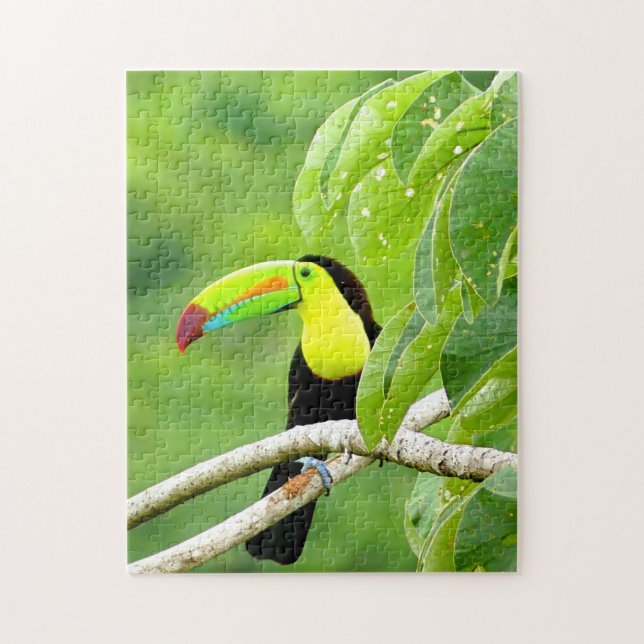 Tropisches Toucan-Puzzle Puzzle (Vertikal)