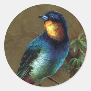 Tropisches Vogel-guten Rutsch ins Neue Jahr Runder Aufkleber