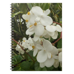 Tropisches weißes Begonia-Blütenmuster Notizblock