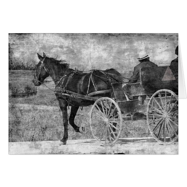 Trot Amish Pferd in Schwarz und Weiß (Vorderseite (Horizontal))