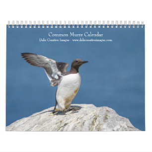Trottellummen-Kalender 2026 Kalender