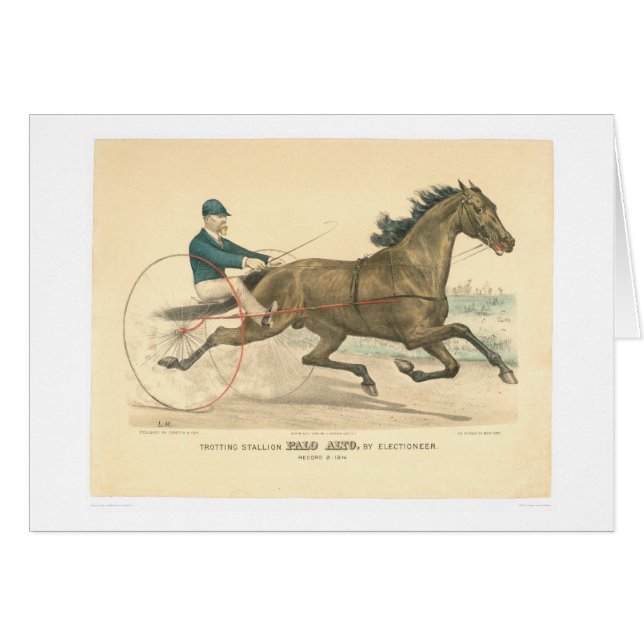 Trotten Stallion Palo Alto durch Electioneer (Vorderseite (Horizontal))