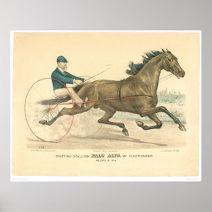 Trotting-Hengst Palo Alto von Electioneer (1791A) Poster