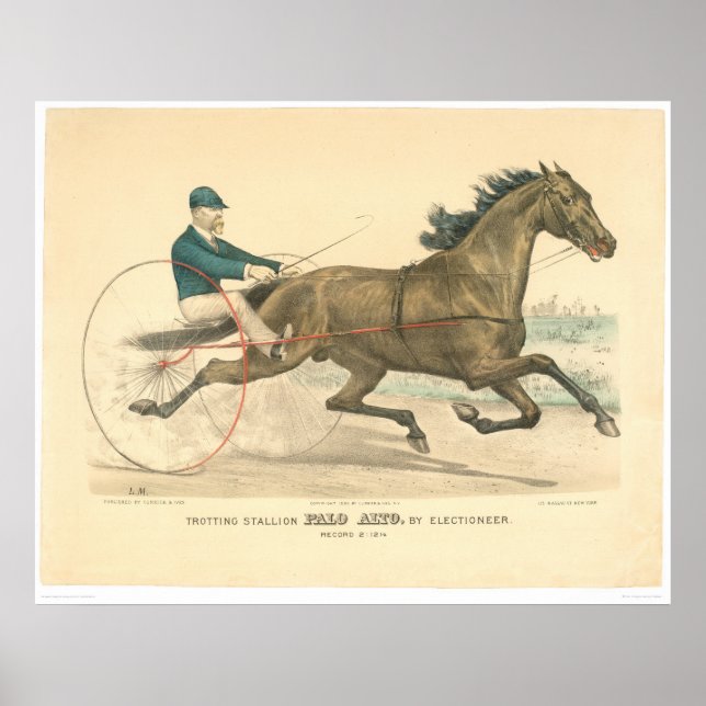 Trotting-Hengst Palo Alto von Electioneer (1791A) Poster (Vorne)