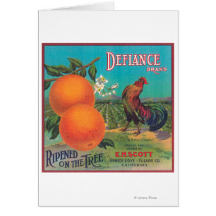 Trotz orange LabelVenice Bucht, CA