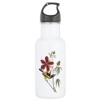 Troupial von Audubon Trinkflasche