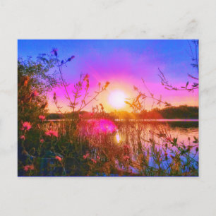 TROUT LAKE SUN POSTCARD POSTKARTE