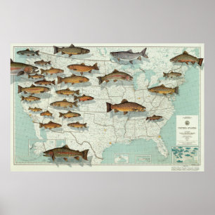 Trout Map der Vereinten Staaten (1999) Poster