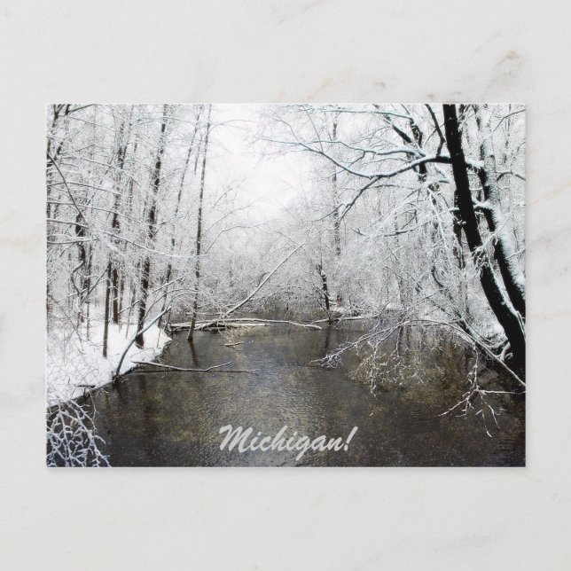 Trout River Postkarte (Vorderseite)