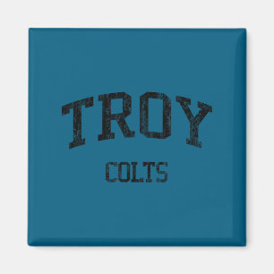 Troy High School HS Troy MI Vintage-Sport Magnet