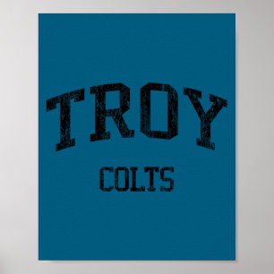 Troy High School HS Troy MI Vintage-Sport Poster
