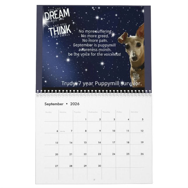 Trudys Puppymill Bewusstseins-Kalender 2016! Kalender (Sep 2026)