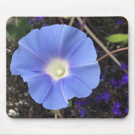 True Blue Morning Glory Close-up  Mousepad