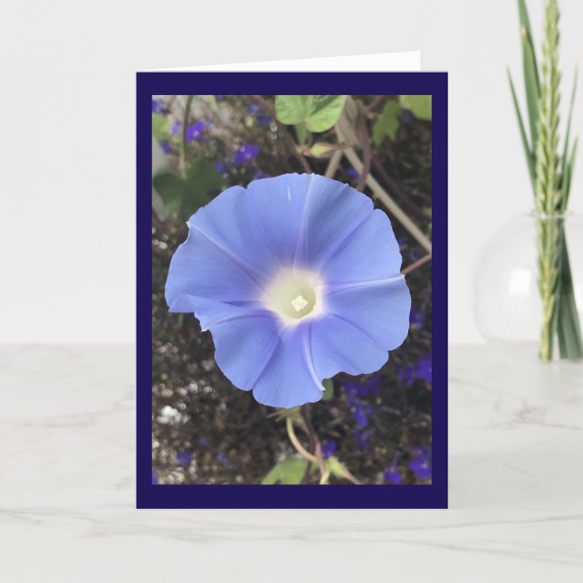 True Blue Morning Glory Karte (Vorderseite)