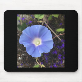 True Blue Morning Glory Mousepad