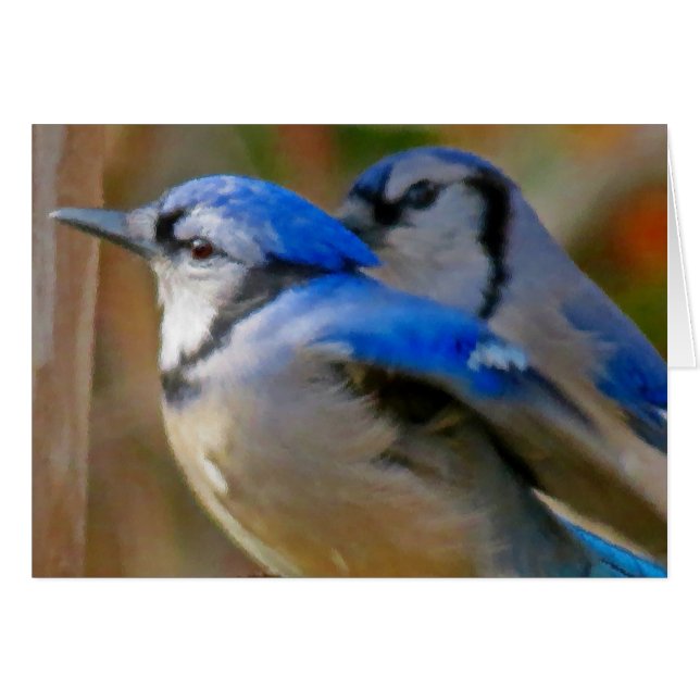 True Blue - Vögel (Vorderseite (Horizontal))