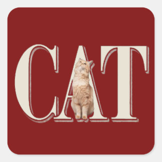 True Cat Liebe Quadratischer Aufkleber