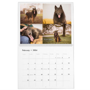 True Knight Belgium Tervuren Hund/Welpenkalender Kalender
