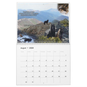 True Knight Tervurens Welppy Rezensions Kalender