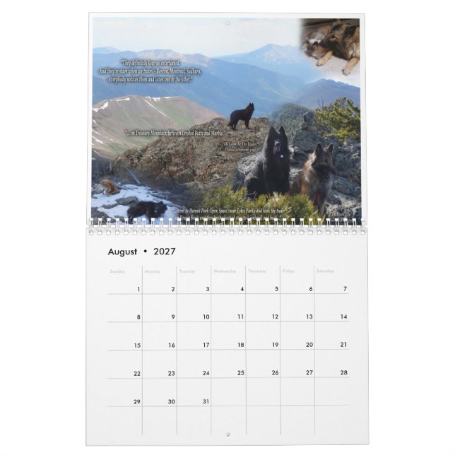 True Knight Tervurens Welppy Rezensions Kalender (Aug 2027)