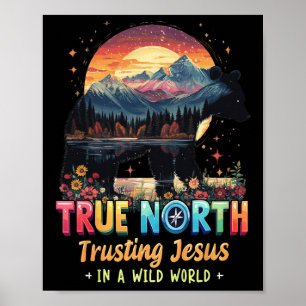 True North - Jesus vertrauen in einer wilden Welt Poster