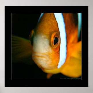 Truk Yamagiri Maru 009bcr Poster