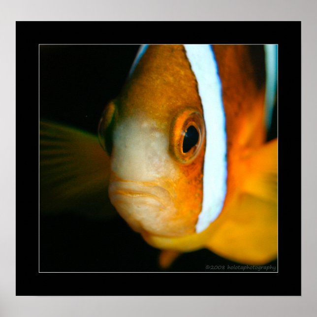 Truk Yamagiri Maru 009bcr Poster (Vorne)