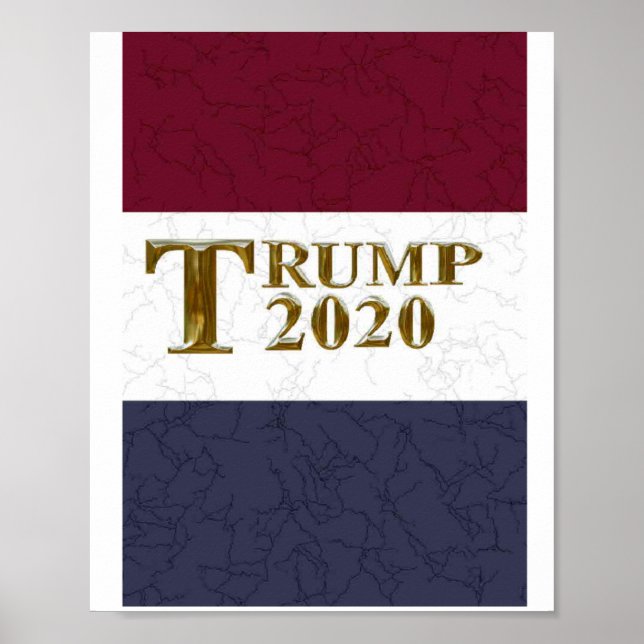 TRUMP 2020 POSTER (Vorne)