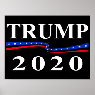 Trump 2020 poster
