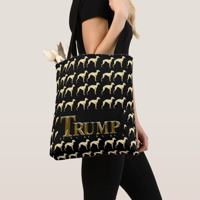 TRUMP 2024 (Von Nahem)