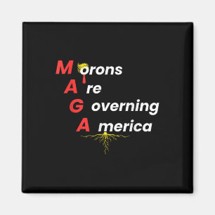 Trump 2024 magnet