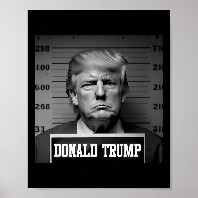 Trump 2024 Mugshot Trump Tasse Shot Präsident Poster (Vorne)