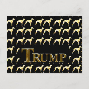 TRUMP 2024 POSTKARTE