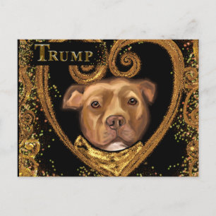 TRUMP 2024 POSTKARTE