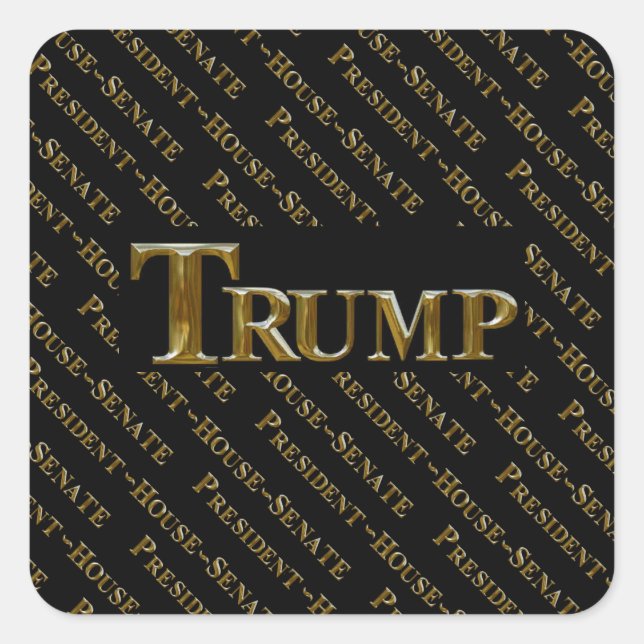 TRUMP 2024 QUADRATISCHER AUFKLEBER (Vorderseite)
