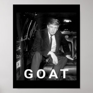 Trump 2024 Young Trump Poster