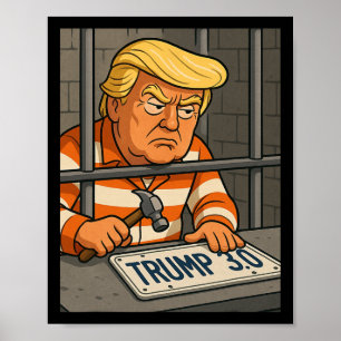 Trump 3.0 Nummernschild-Designer  Poster