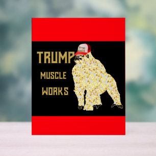 TRUMP ACRYLSCHILD
