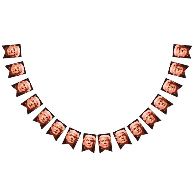 Trump Einweihung 2017 Wimpelkette (Alle)