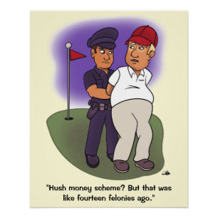 Trump Felonies Glossy Poster