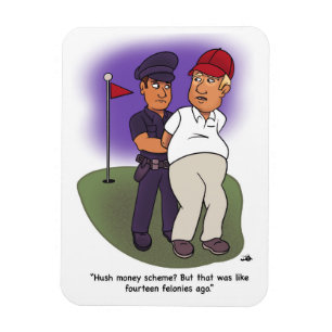 Trump Felonies Magnet