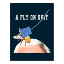 Trump Fly on Pence Head mit Flyswatter, ZFJ