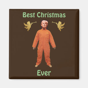 Trump Gefangener Magnet