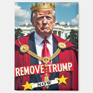 Trump-Gegner entfernen Magnet