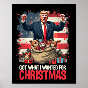 Trump gewinnt Präsident 2024 - Got, was ich für C Poster