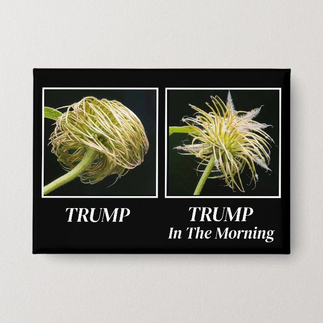 Trump Hair Button (Vorderseite)