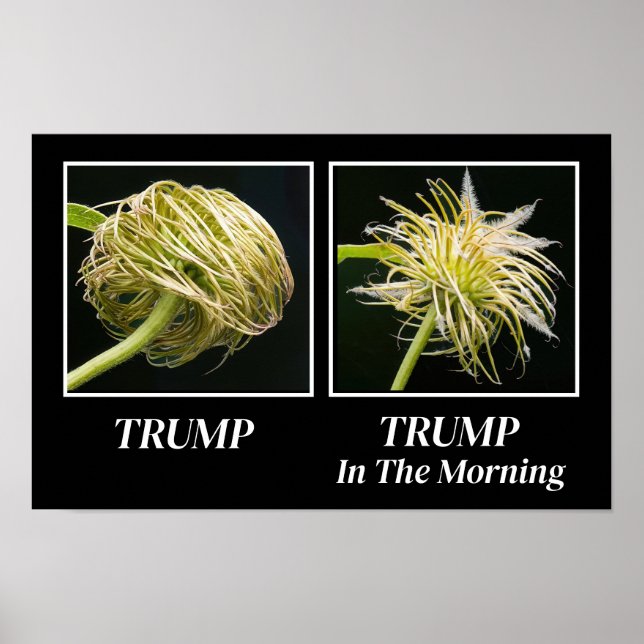 Trump Hair Poster (Vorne)