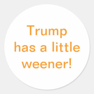 Trump hat einen kleinen Wiener Hankamer Artjunkhau Runder Aufkleber