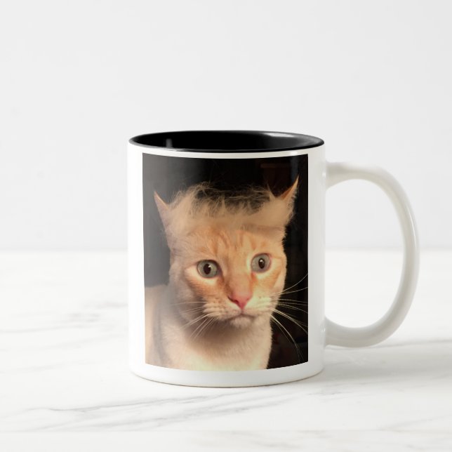 Trump Ihre Katzen-Tasse Zweifarbige Tasse (Rechts)